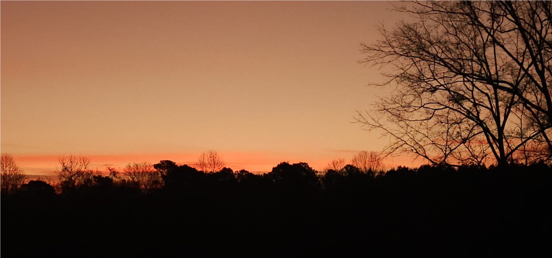 Winter sunrise over The Pearl