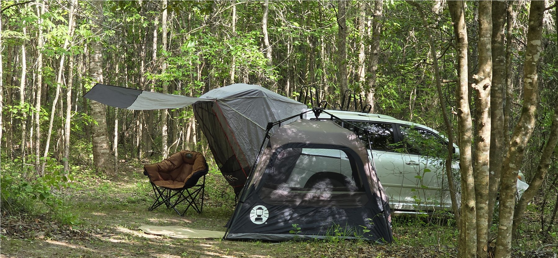 Camper set beneath the trees